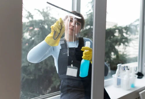 Nettoyage de vitres intérieures et extérieures à Montournais